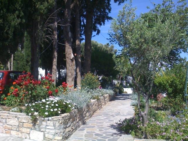 Elena Bungalows Aparthotel Πυθαγόρειο Δωμάτιο φωτογραφία